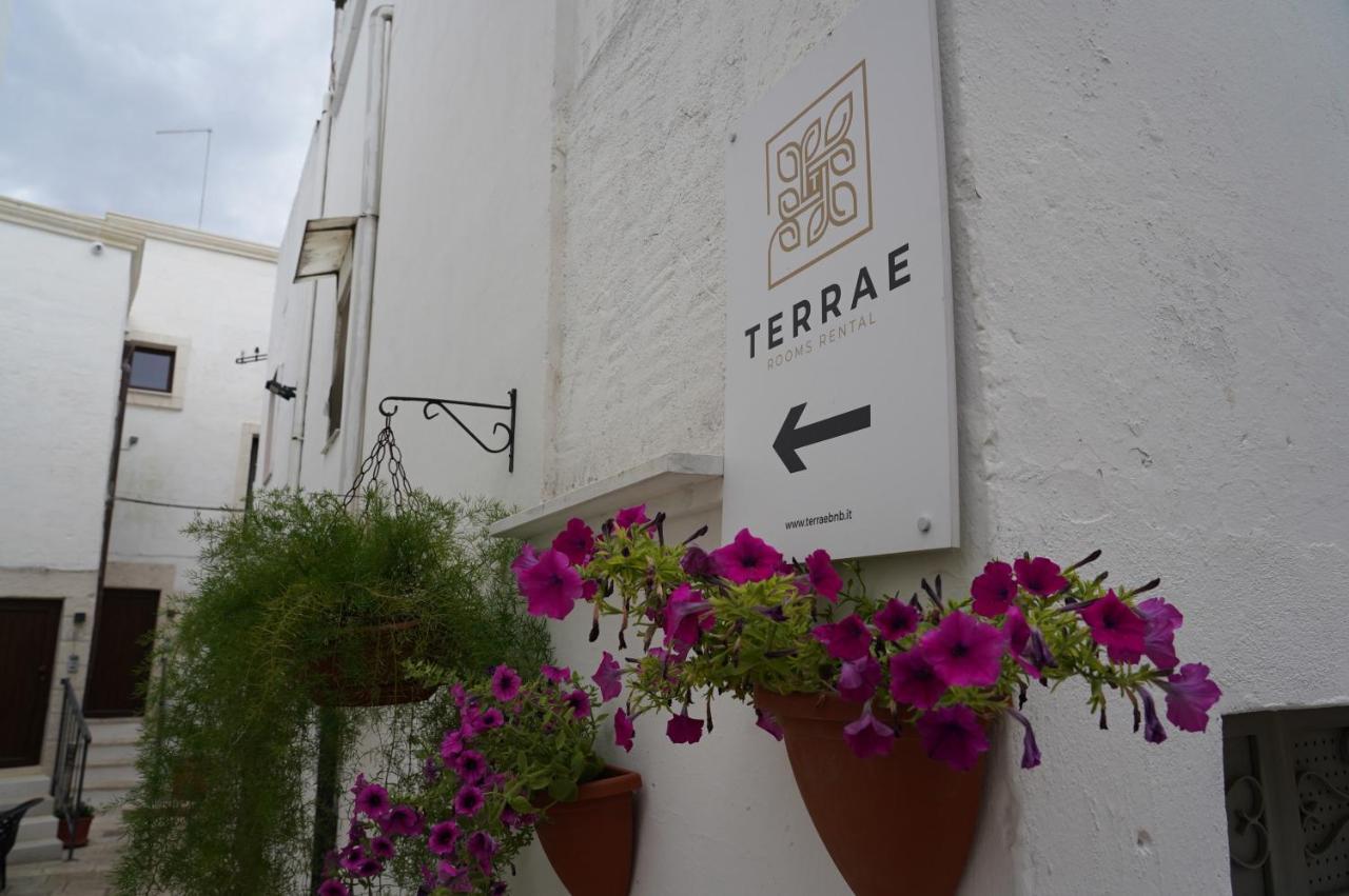 Terrae Rooms Rental 미사니아 외부 사진